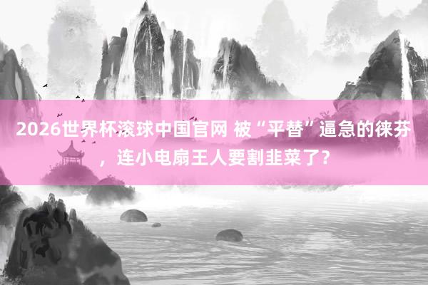 2026世界杯滚球中国官网 被“平替”逼急的徕芬，连小电扇王人要割韭菜了？