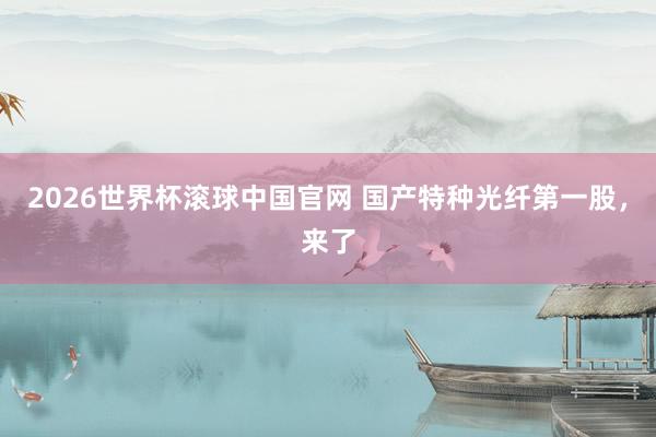 2026世界杯滚球中国官网 国产特种光纤第一股，来了