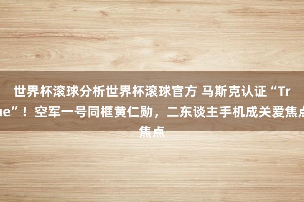 世界杯滚球分析世界杯滚球官方 马斯克认证“True”！空军一号同框黄仁勋，二东谈主手机成关爱焦点