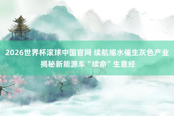 2026世界杯滚球中国官网 续航缩水催生灰色产业 揭秘新能源车“续命”生意经
