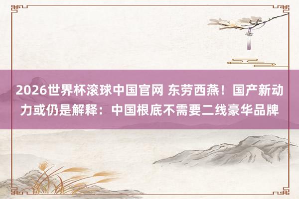 2026世界杯滚球中国官网 东劳西燕！国产新动力或仍是解释：中国根底不需要二线豪华品牌