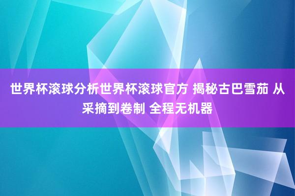 世界杯滚球分析世界杯滚球官方 揭秘古巴雪茄 从采摘到卷制 全程无机器