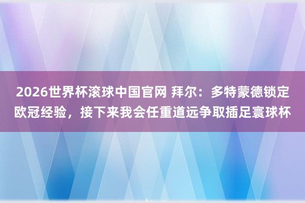2026世界杯滚球中国官网 拜尔：多特蒙德锁定欧冠经验，接下来我会任重道远争取插足寰球杯