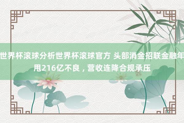 世界杯滚球分析世界杯滚球官方 头部消金招联金融年甩216亿不良 ， 营收连降合规承压