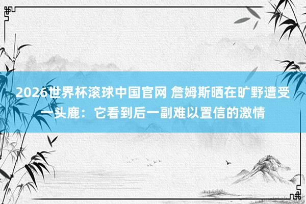 2026世界杯滚球中国官网 詹姆斯晒在旷野遭受一头鹿：它看到后一副难以置信的激情