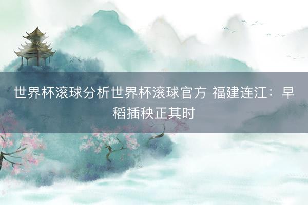 世界杯滚球分析世界杯滚球官方 福建连江：早稻插秧正其时