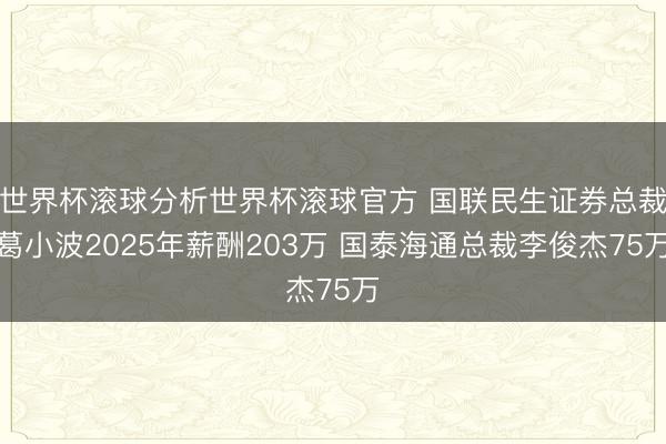 世界杯滚球分析世界杯滚球官方 国联民生证券总裁葛小波2025年薪酬203万 国泰海通总裁李俊杰75万